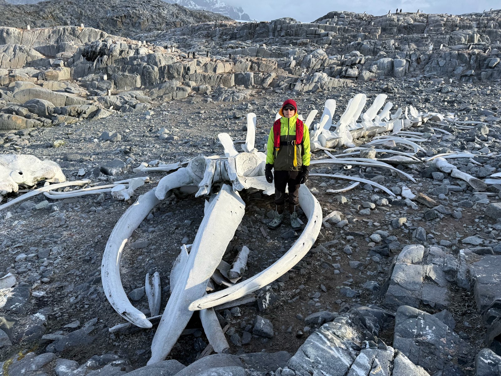 Dumplings and misc 2