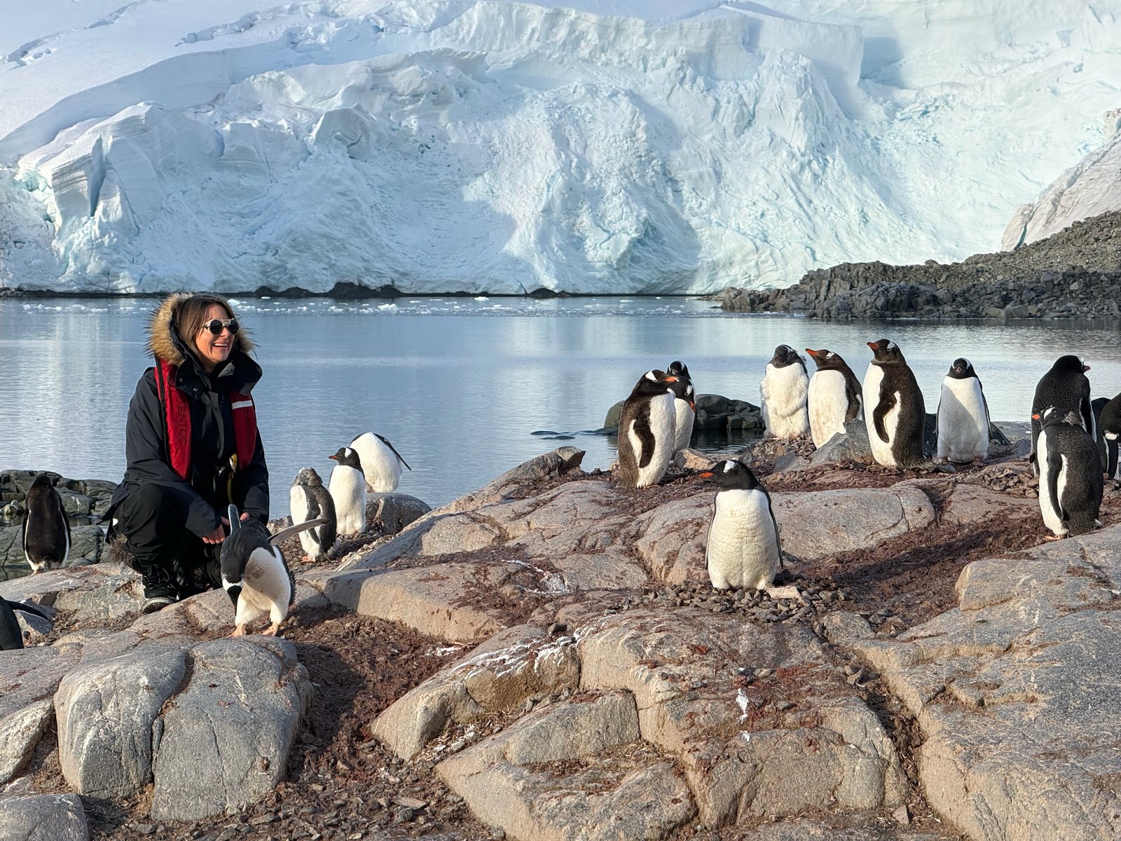 Dumplings and misc 2