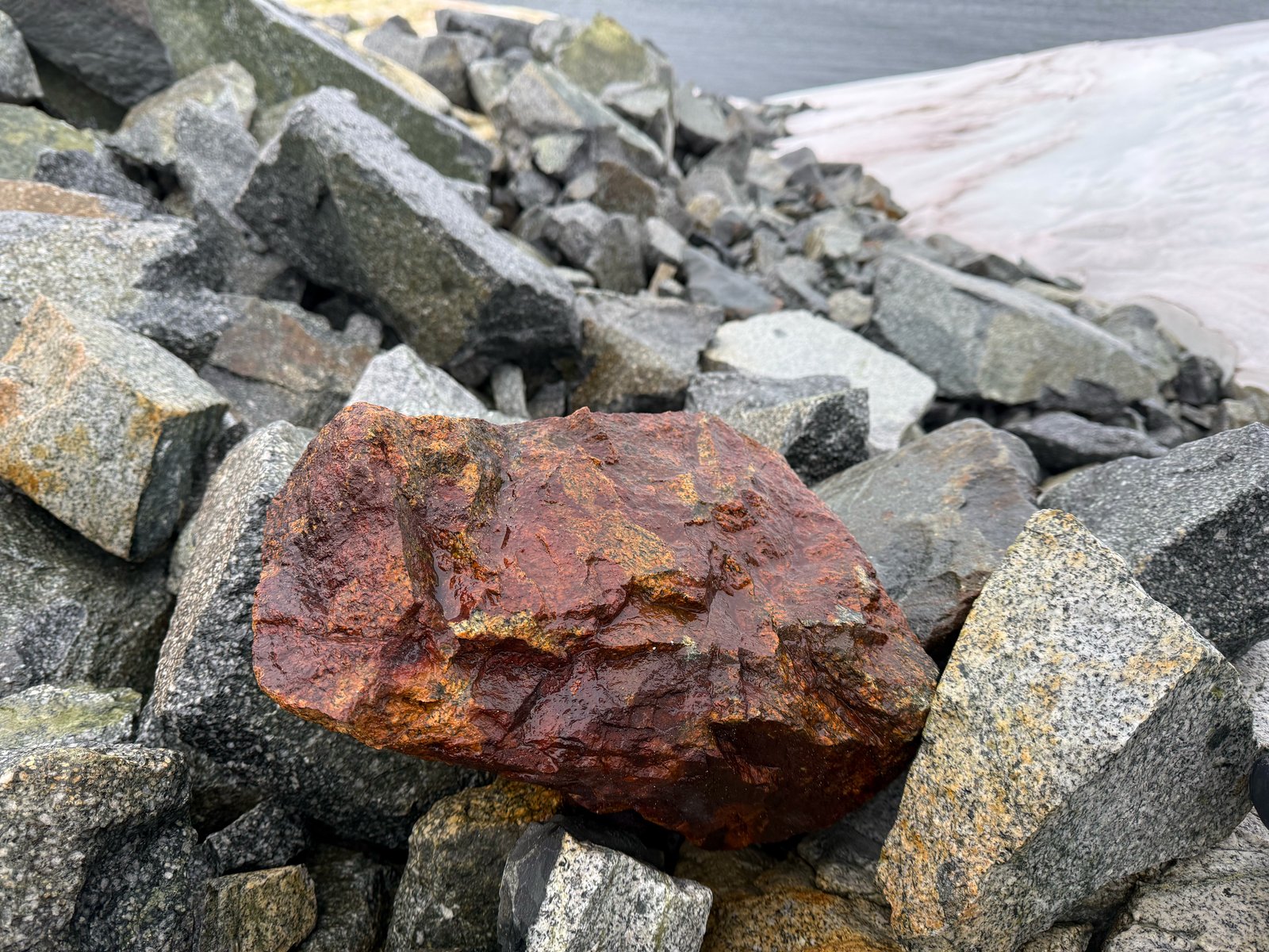 Dumplings and misc 2