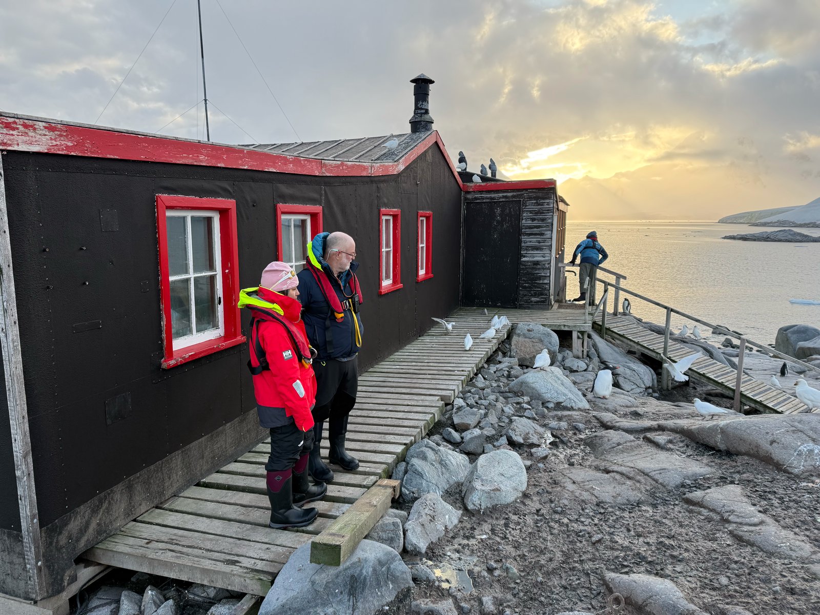 Dumplings and misc 2