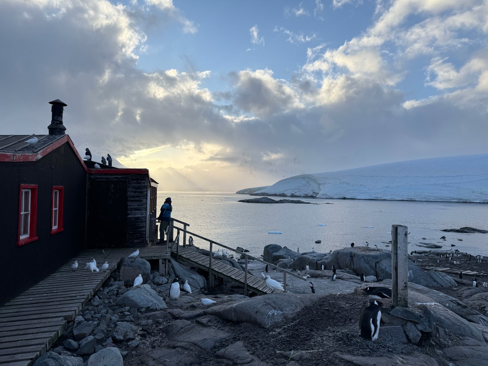 Dumplings and misc 2